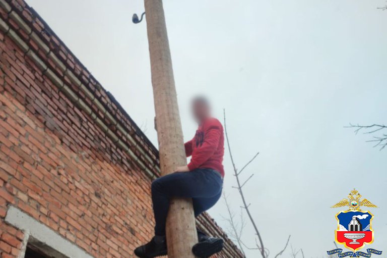 Кражу кабелей общей протяжённостью свыше 1,6 километра раскрыли полицейские в Алтайском крае